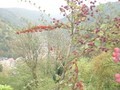 Forstbotanischer Garten