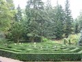 Wir fanden den Ausgang im Heckenlabyrinth.