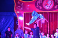Zirkus Predolino 2016