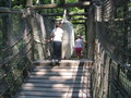 Saurierpark Kleinwelka
