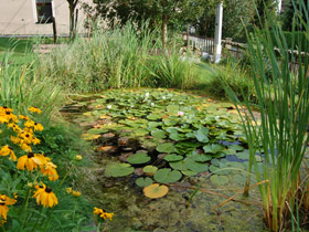 Schulteich